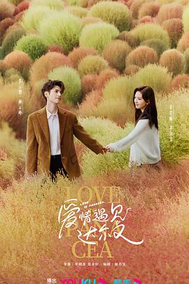 网站优化的公司叫什么